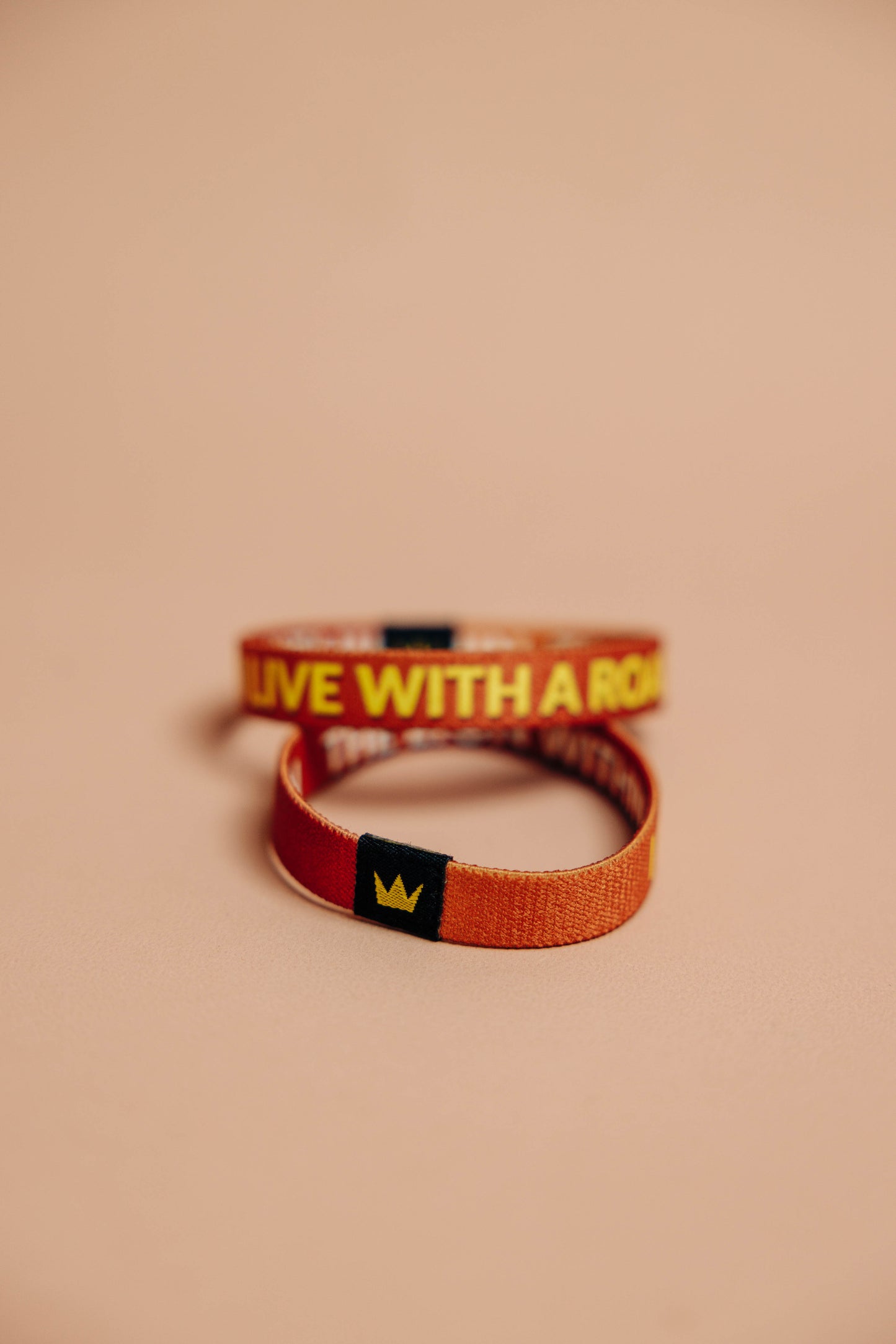 Live with a Roar Cloth Wristband