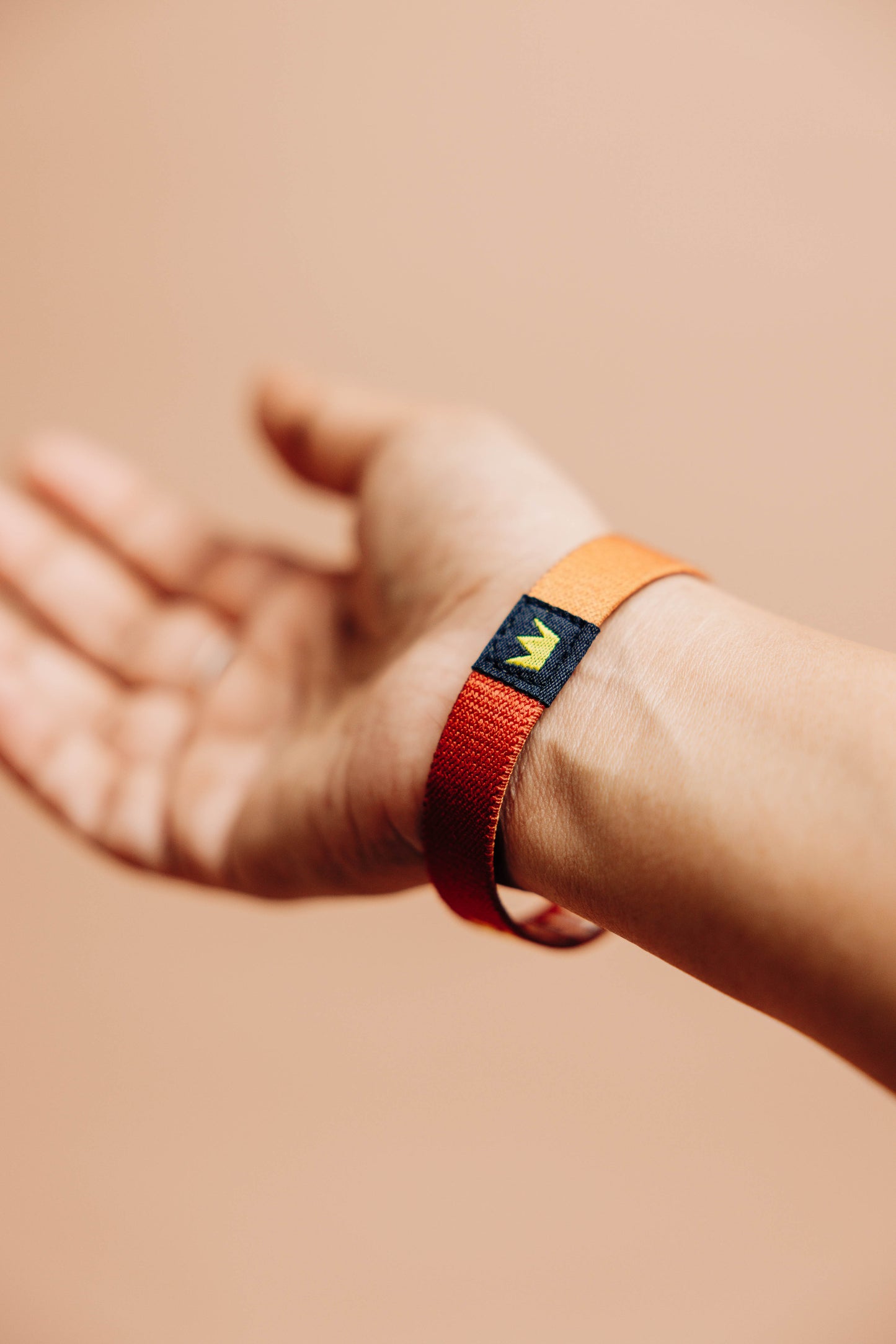 Live with a Roar Cloth Wristband